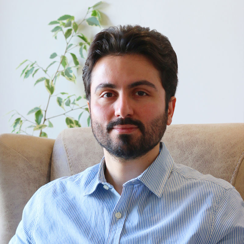 امیرحسین کمیجانی